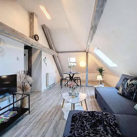 Schilik'chic - Confort - Proche Centre-ville Et Institutions Europeennes - Stationnement Facile Apartment *