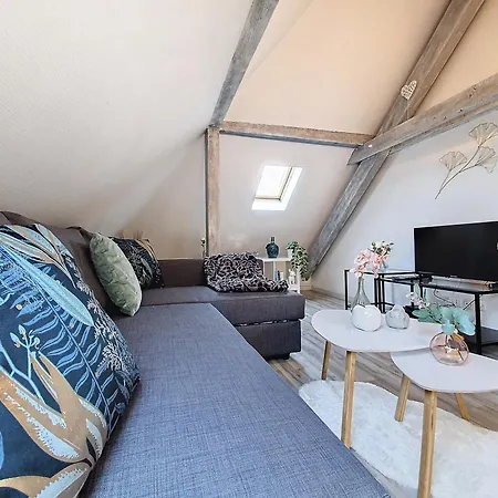 Schilik'chic - Confort - Proche Centre-ville Et Institutions Europeennes - Stationnement Facile * Schiltigheim